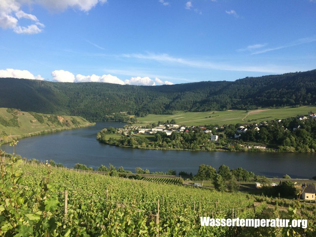 Mosel bei Mehring