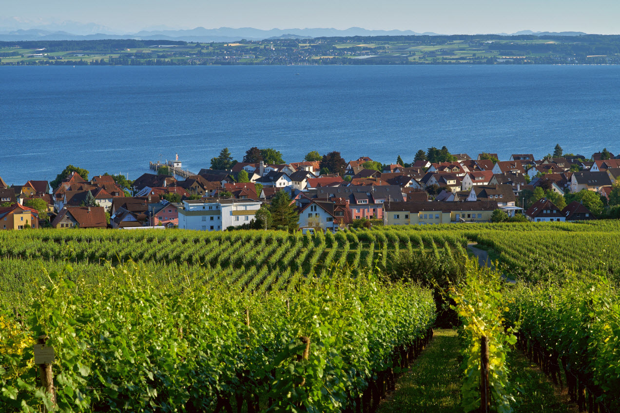 Blick auf den Bodensee in Hagnau